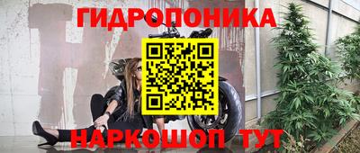 ALPHA PVP Канаш