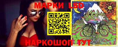 эйфоретик Кандалакша