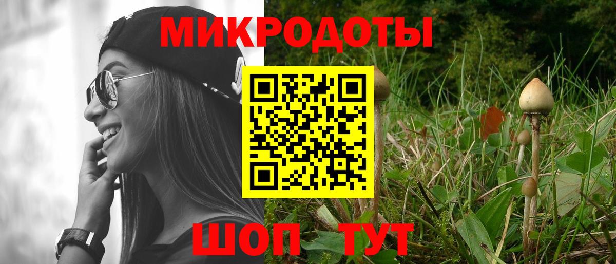 Шарыпово  цена   Вход с VPN  Псилоцибиновые грибы Cubensis 